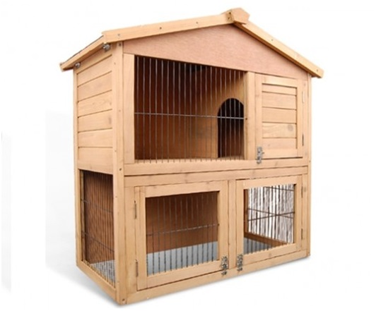 Coops And Cages Promulgating The Adherence To Better Pet Con