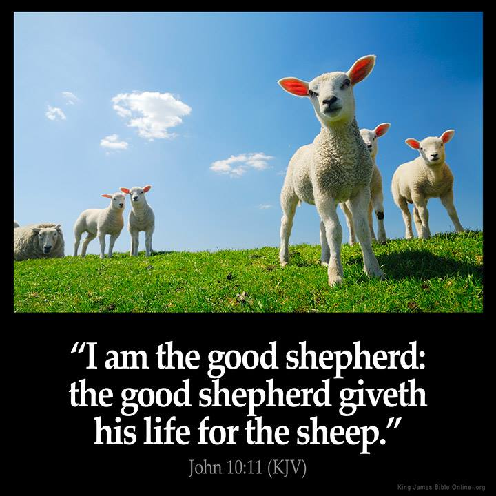 Bible Shepherd