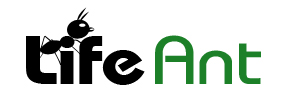 Life Ant