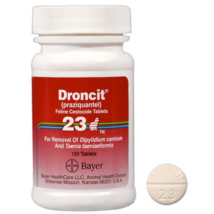 Droncit (praziquantel)'