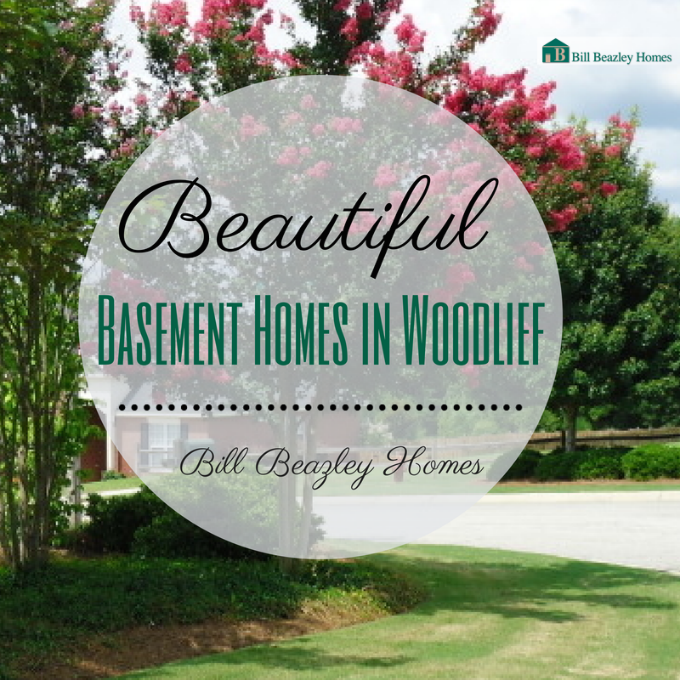 Basement Homes in Woodlief