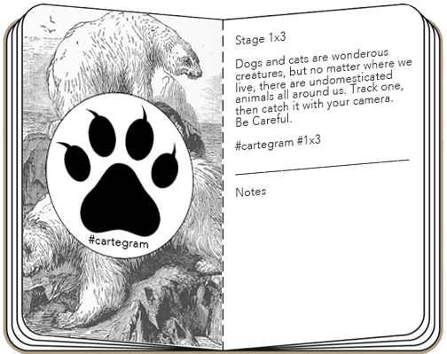 Cartegram Creation of His Upcoming Live Action Game