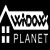 Company Logo For Window Planet'