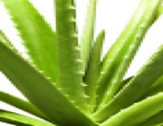 Help Build Rostechz Ghana Limited Oluremi Enikanselu'