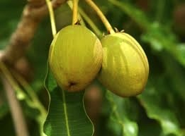 Help Build Rostechz Ghana Limited Oluremi Enikanselu'