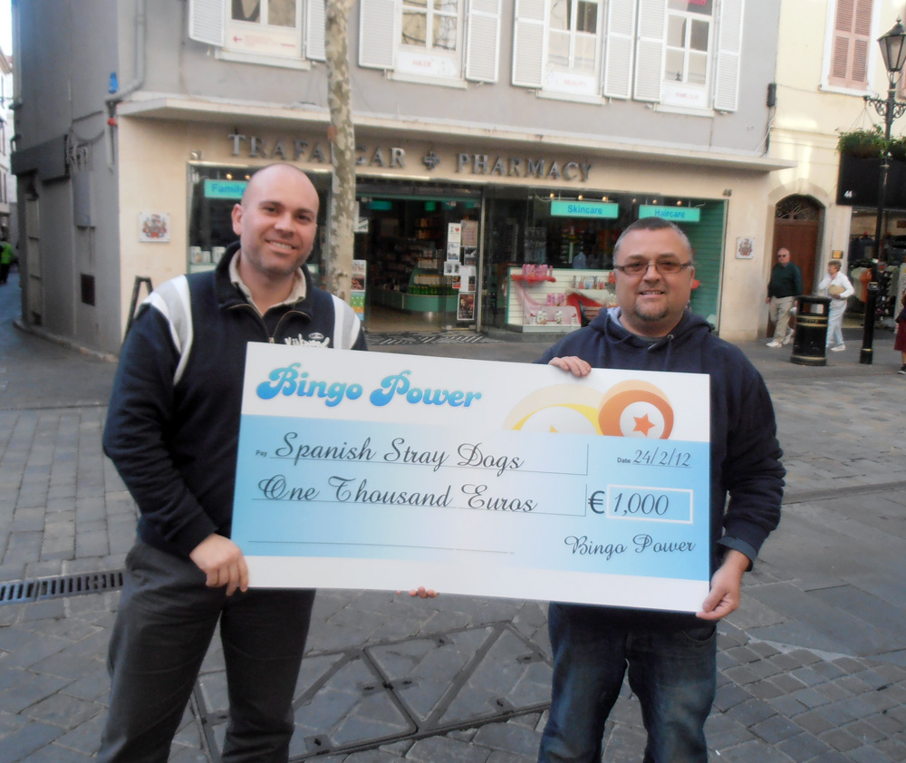 Bingo Power Facebook Challenge'