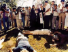 Jesuit Martyrs of El Salvador'