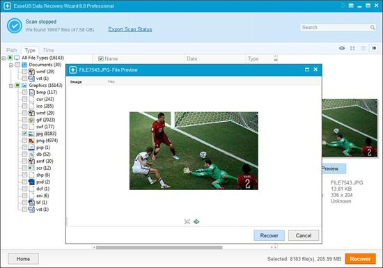 EaseUS Data Recovery Wizard'