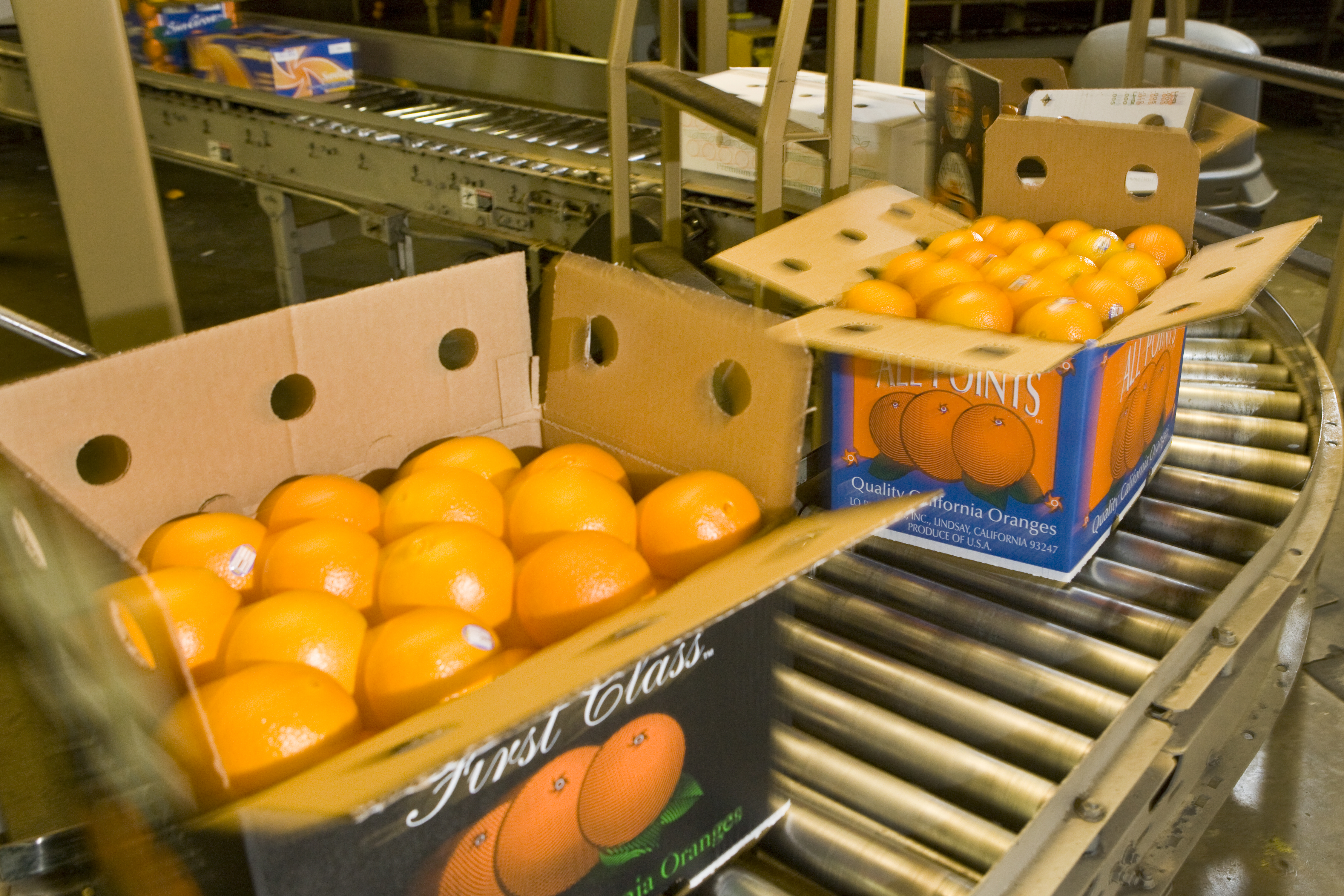 Produce Traceability Software Tailor-Made For The Way You Wo'