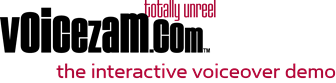 VoiceZam'