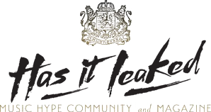 Valdemar Web Agency & Media Network Logo