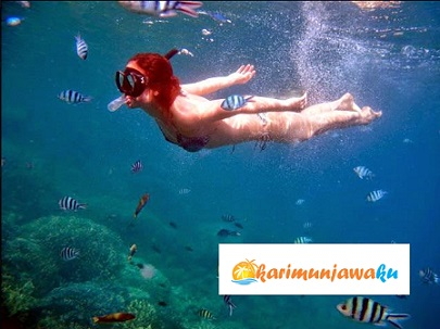 Company Logo For Karimunjawa Ku Tour'
