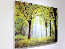 best company for design ideas