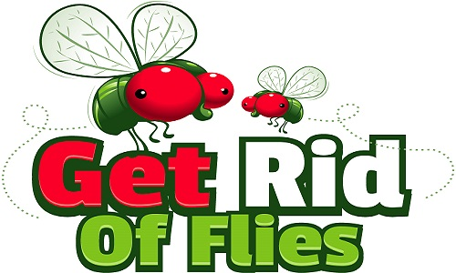 How To Get Rid Of Flies'