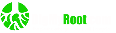 Company Logo For DigMyRoot.com'