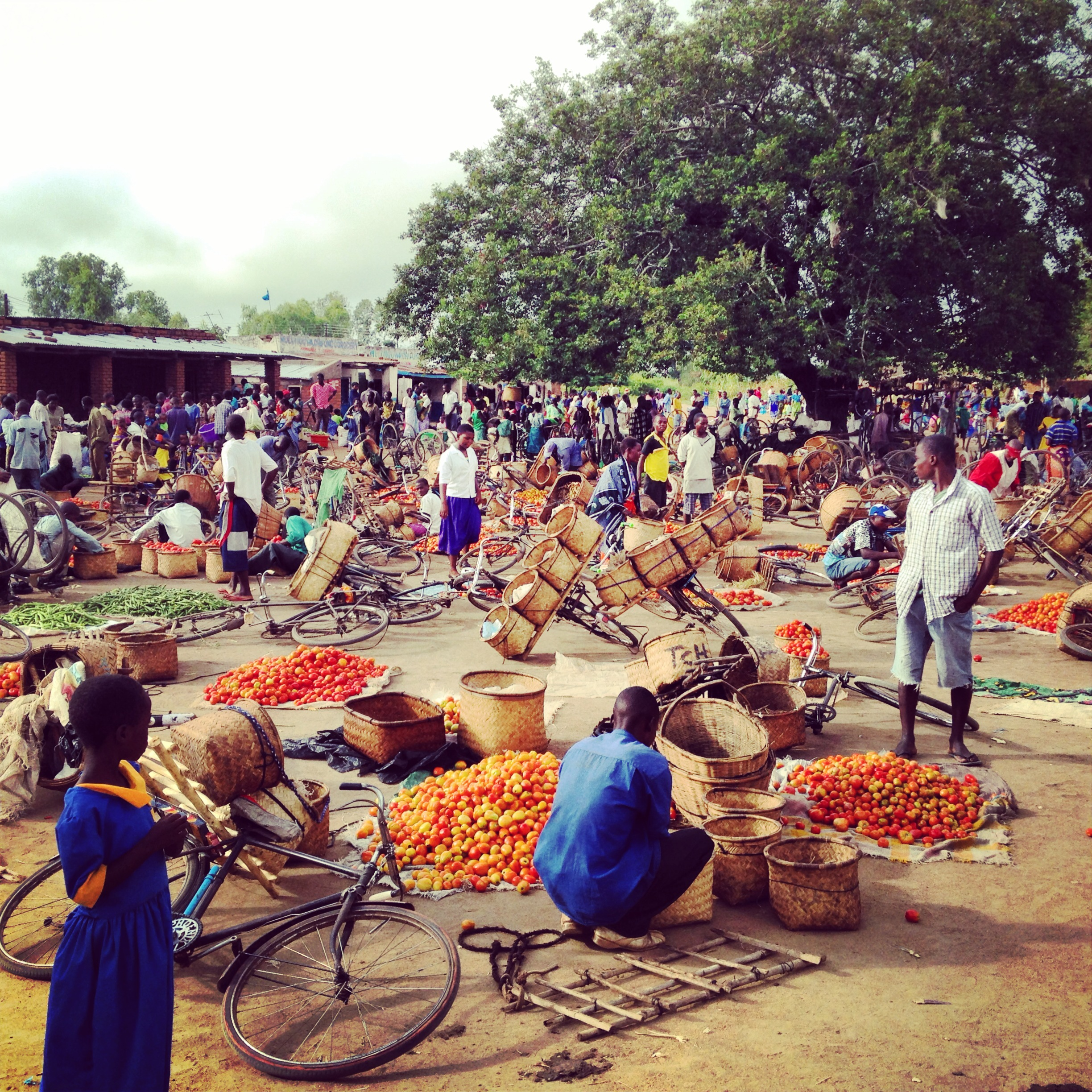 Village X World's First Completely Transparent Mobile