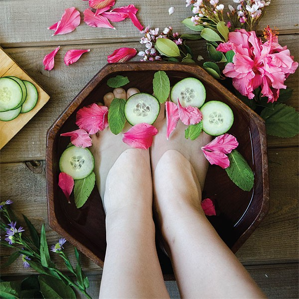 Willow and Sage Volume 1'