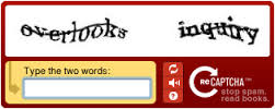 anti-CAPTCHA'