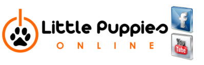 Little Puppies Online