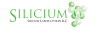 Company Logo For Silicium Laboratories'