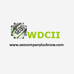 Company Logo For WDCII Pvt. Ltd'