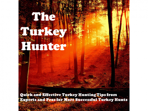 Turkey Hunting'