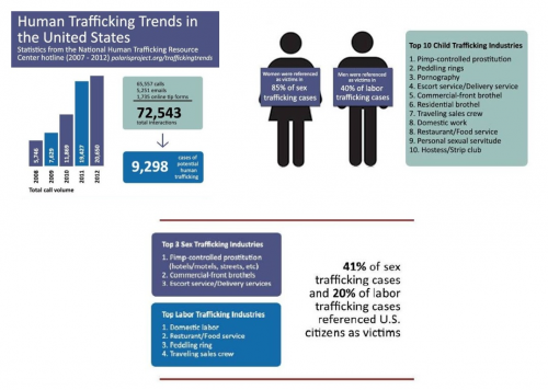 Human Trafficking Trends Chart'