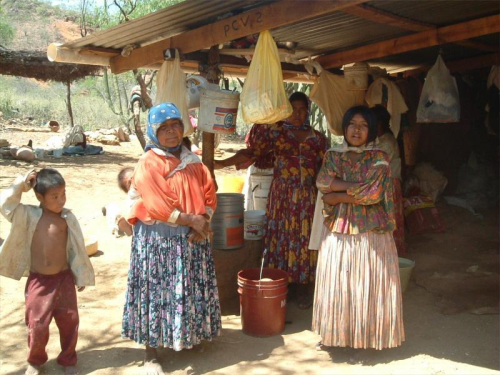 The Tarahumara Project'