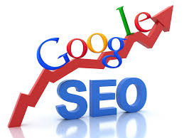 SEO Expert'