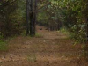 hunting land in Mississippi'