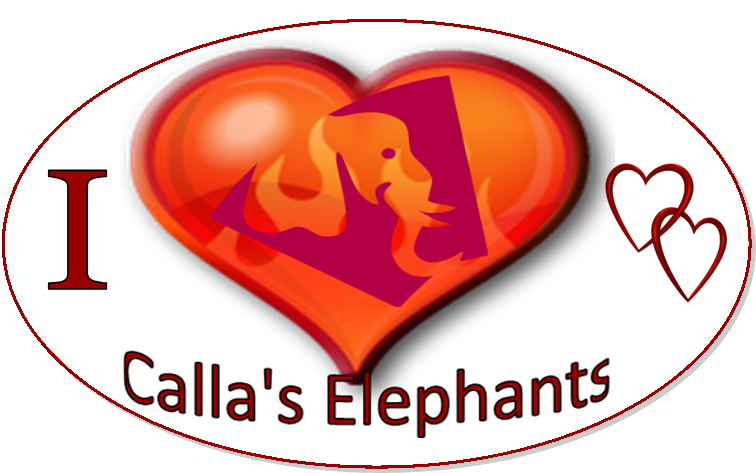 Foster 50 African Elephants Calla Ellen'