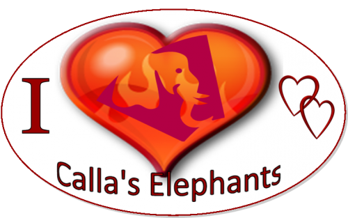 Foster 50 African Elephants Calla Ellen'
