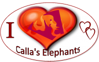 Foster 50 African Elephants Calla Ellen