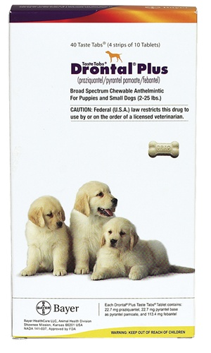 Drontal Plus Dogs'