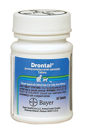 Drontal for Cat'