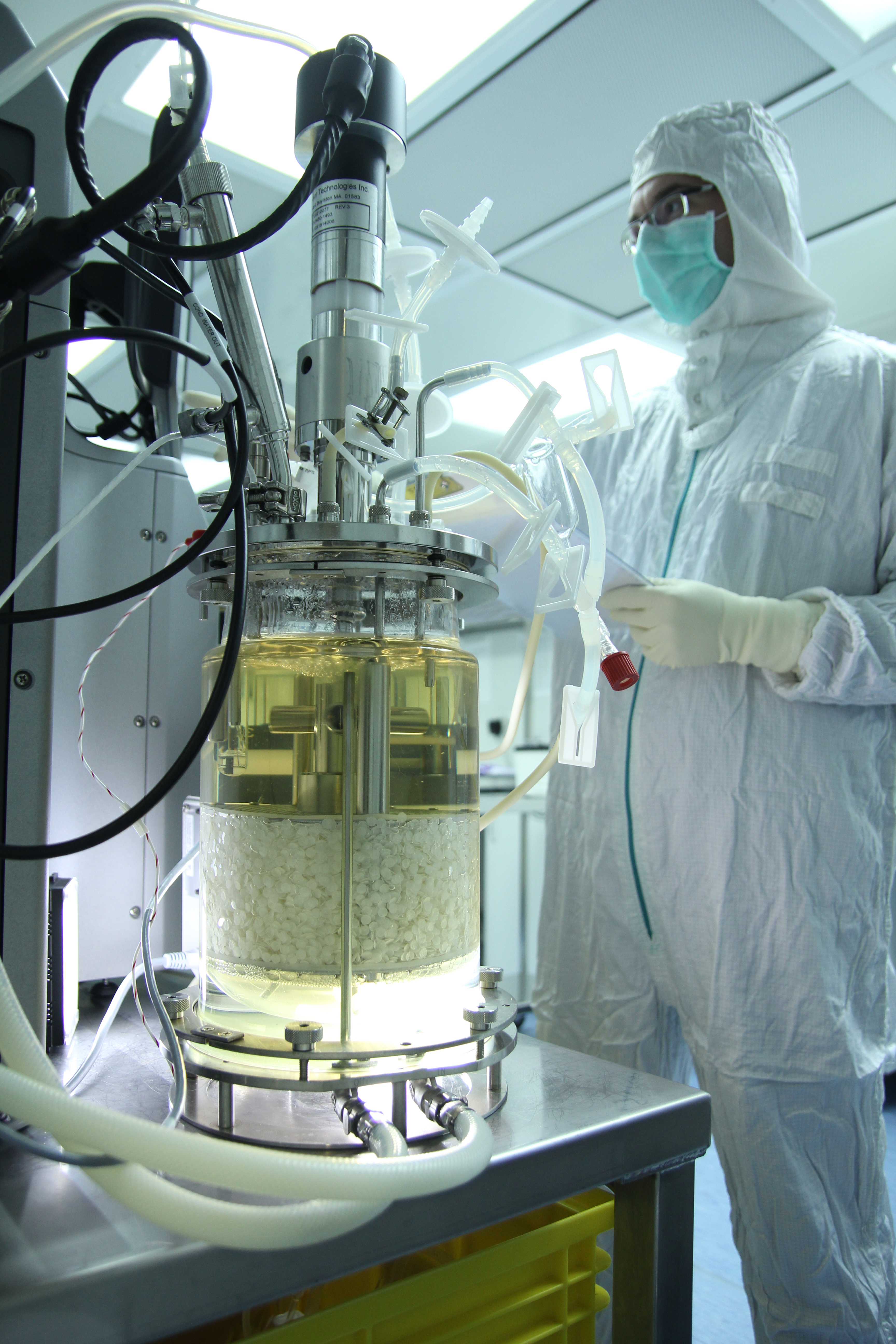 Pluristem manufacturing'