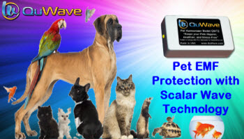QuWave Pet Harmonizer