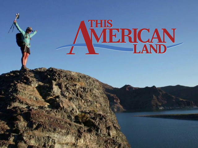 This American Land'