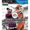 Tiger Woods PGA Tour 13 Video Game for PS3 and XBox 360'