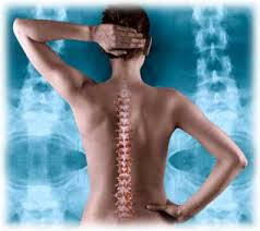 spinal health'