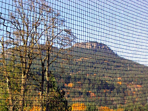 Barrier Netting'