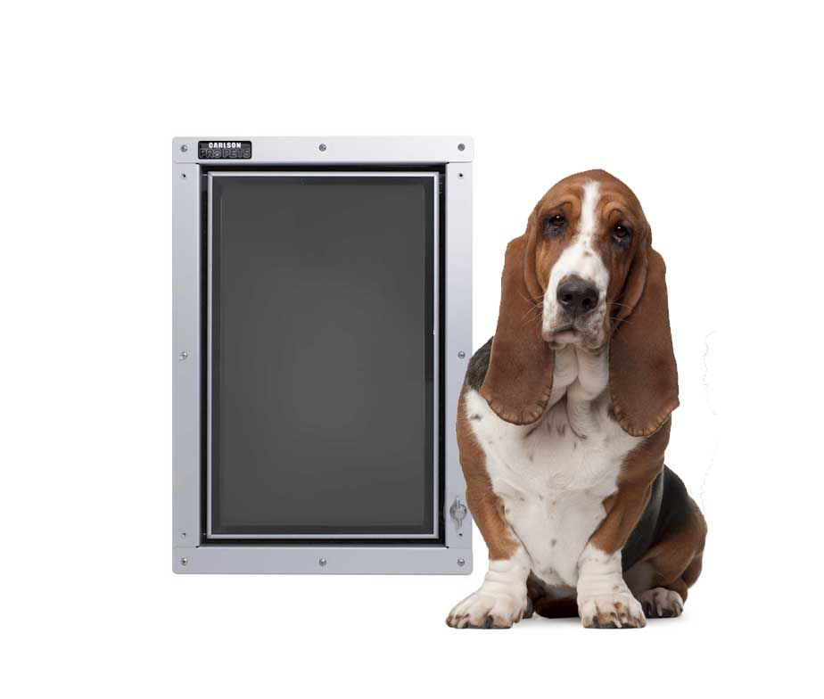 Insulated Pet Doors Make Happy Dogs'