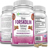 forskolin supplements