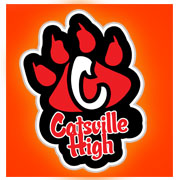 CATSVILLE HIGH THE MOVIE