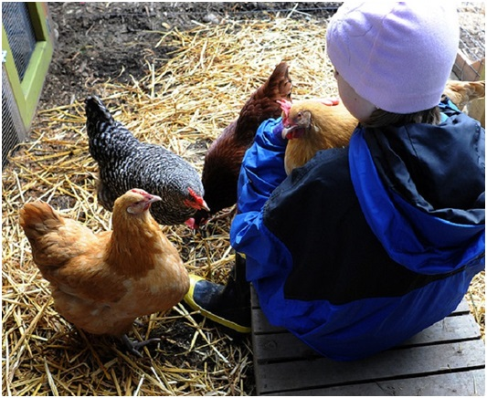 PET ENCLOSURE COMPANY SAYS BEST DEFENSE FOR CHANGING MARKET