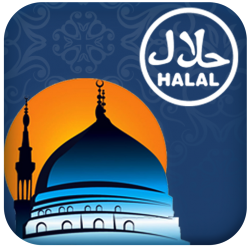 Company Logo For HalalMinds'