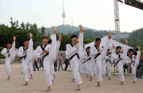 Taekwondo Training'