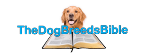 Company Logo For The Dog Breeds Bible'