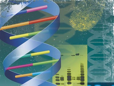 Synthetic Biology Market