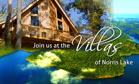 Norris Lake Rentals